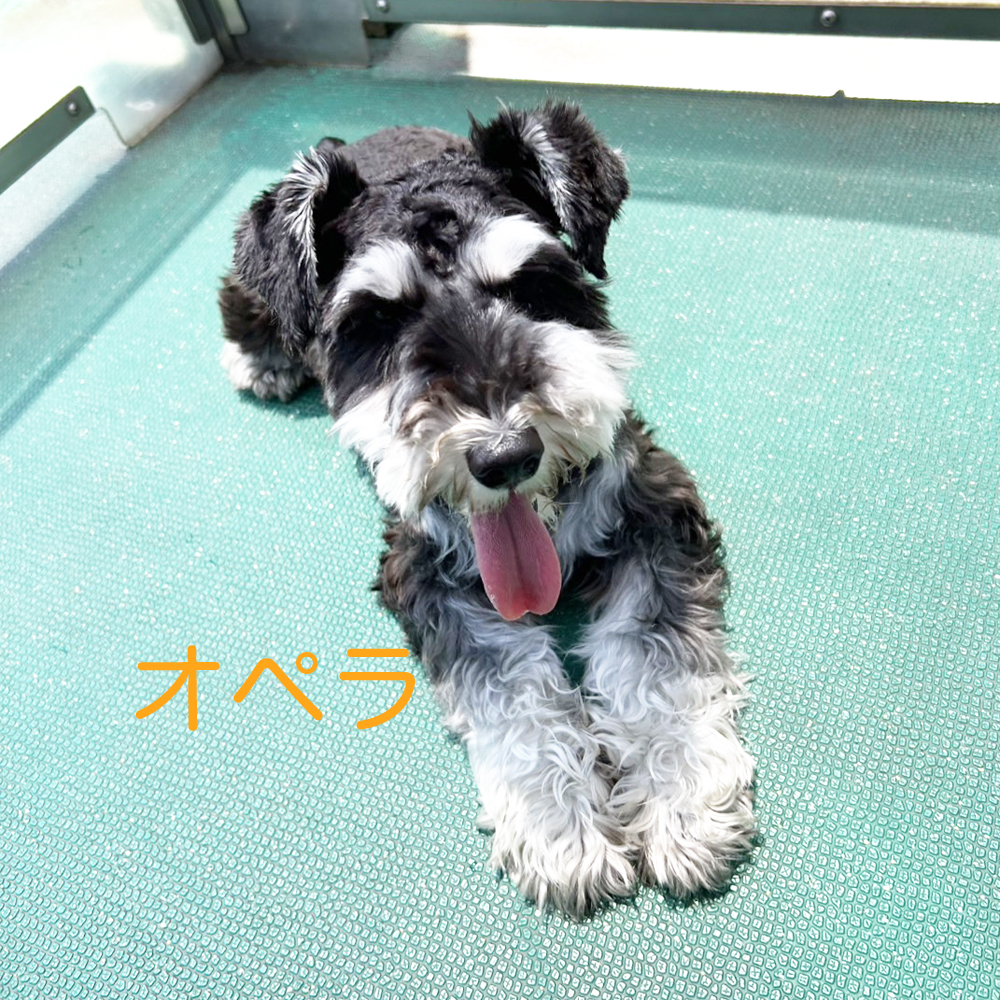 生徒が撮影してくれた写真①